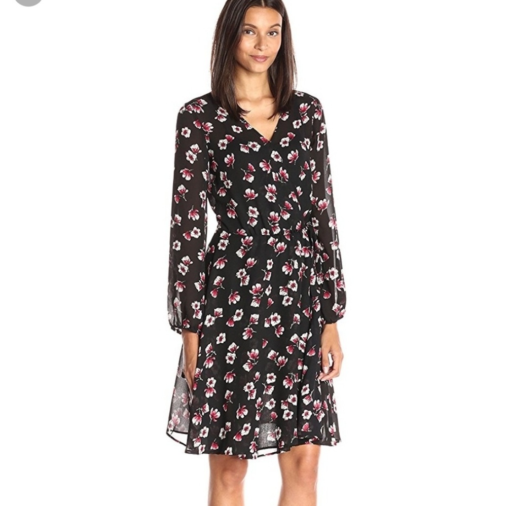 Lark and Ro wrap dress